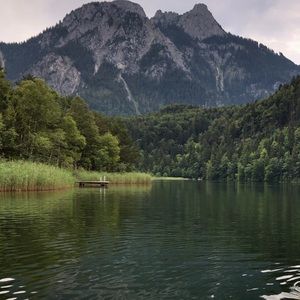 Meet your Posher, William